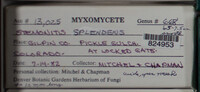 Image Associated With the Occurence